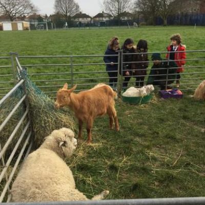 Visiting Farm